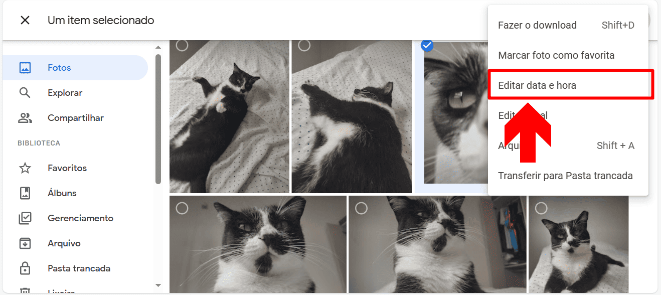 4 - Como consertar imagens com datas erradas no Google Fotos