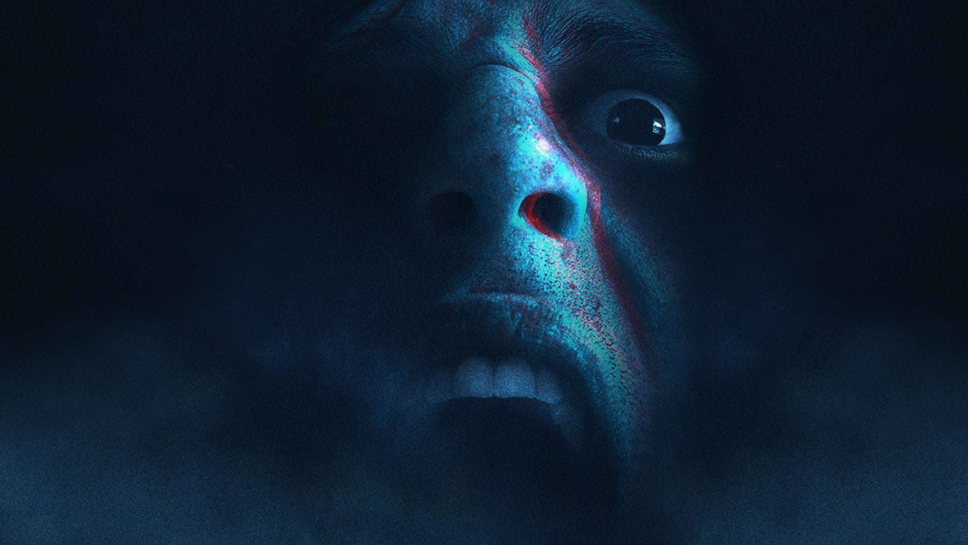 Don't Scream
