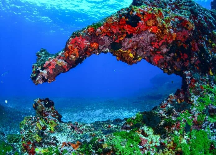 Recifes-Noronha-1-695x500