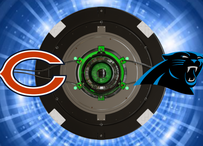 bears panthers