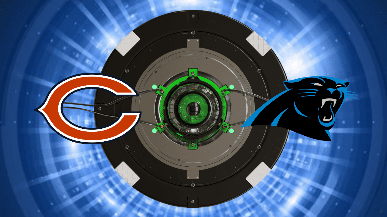 bears panthers