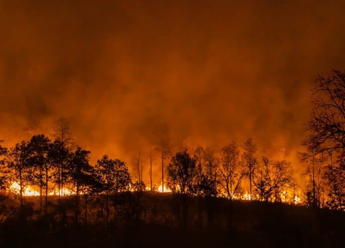Incêndios florestais/fenômenos