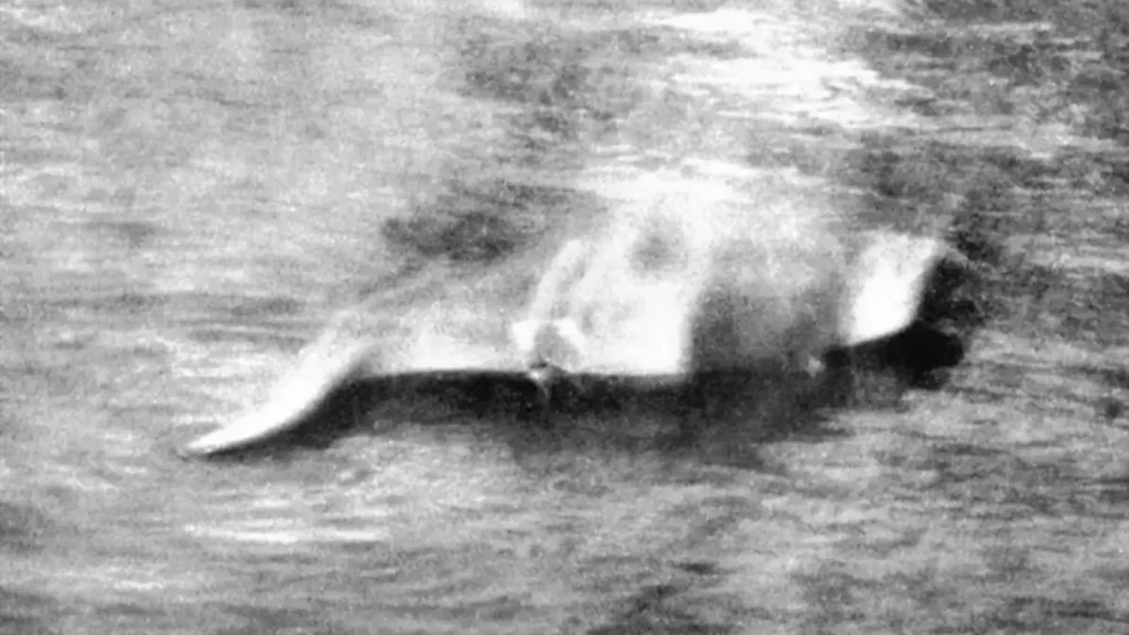 Uma foto tirada em 12 de novembro de 1933 continua sendo, para alguns, uma evidência da existência do Monstro do Lago Ness