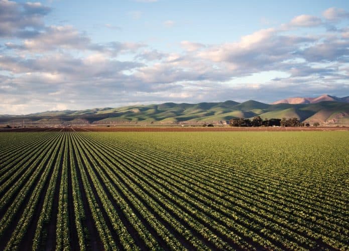 agricultura