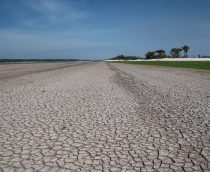 seca-amazonia-210x172