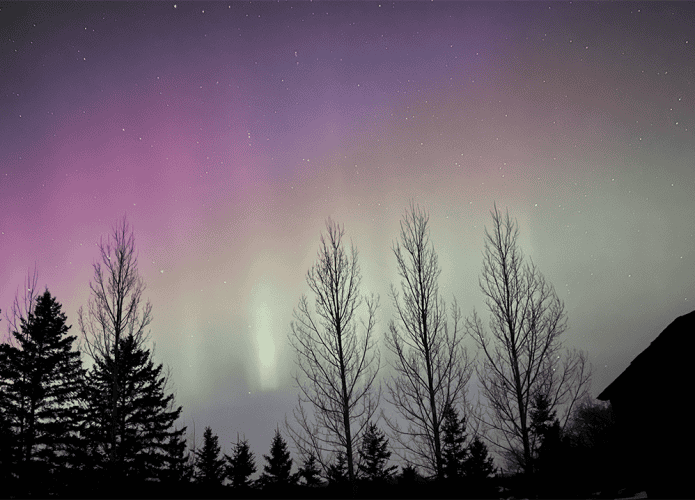 aurora-canada-695x500.png