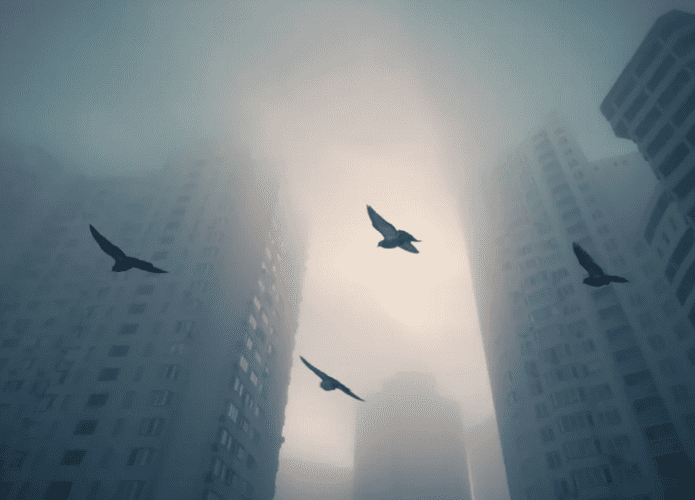 aves-1-695x500.png