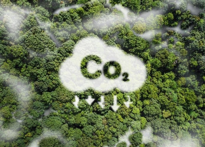Nuvem com a escrita CO2acima de uma floresta