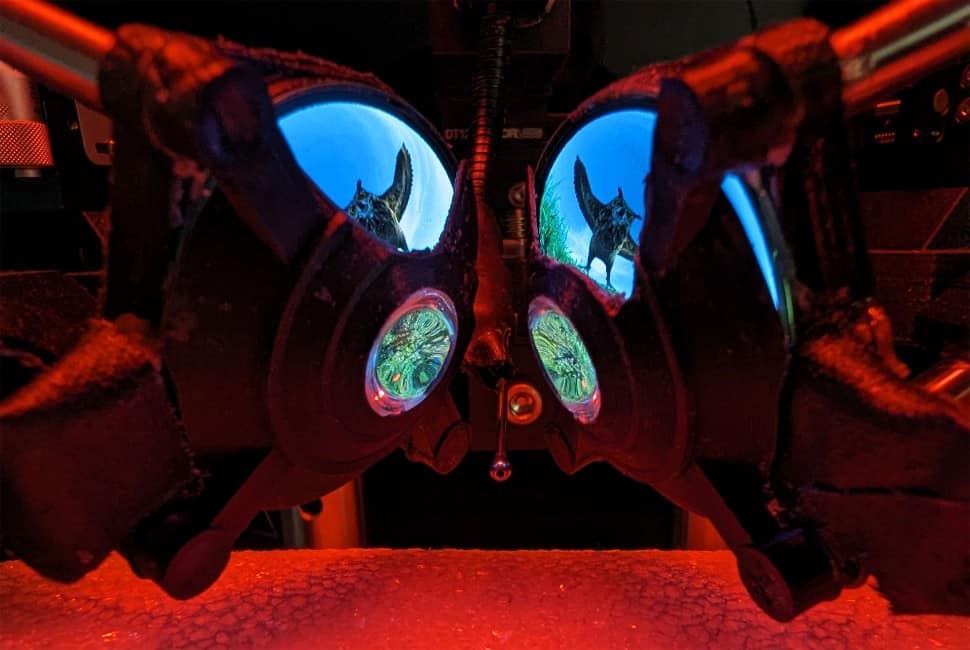 lentes óculos vr ratos