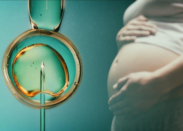 fertilização