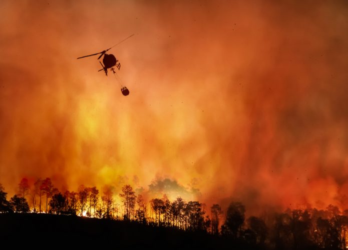 incendio-amazonia-1-695x500
