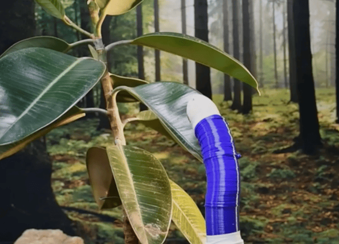 Captura-de-tela-2024-01-22-150039-695x500.png
