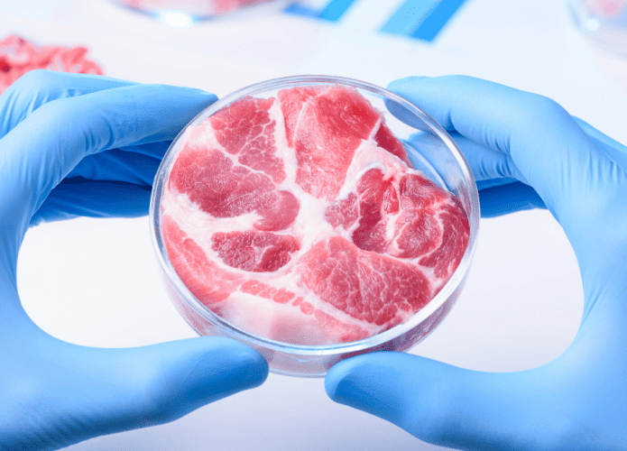 Carne-laboratorio-695x500.png