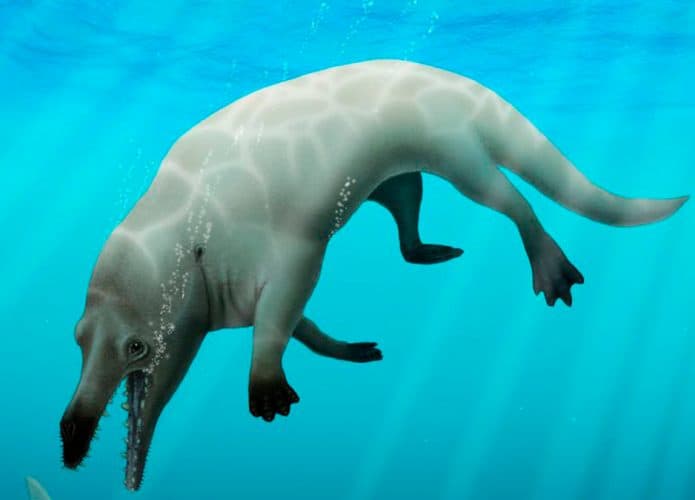Desenho de baleia primitiva no oceano