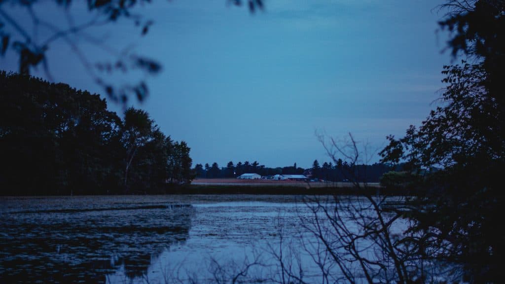 Hora Azul (Imagem: Alex Simpson/Unsplash)