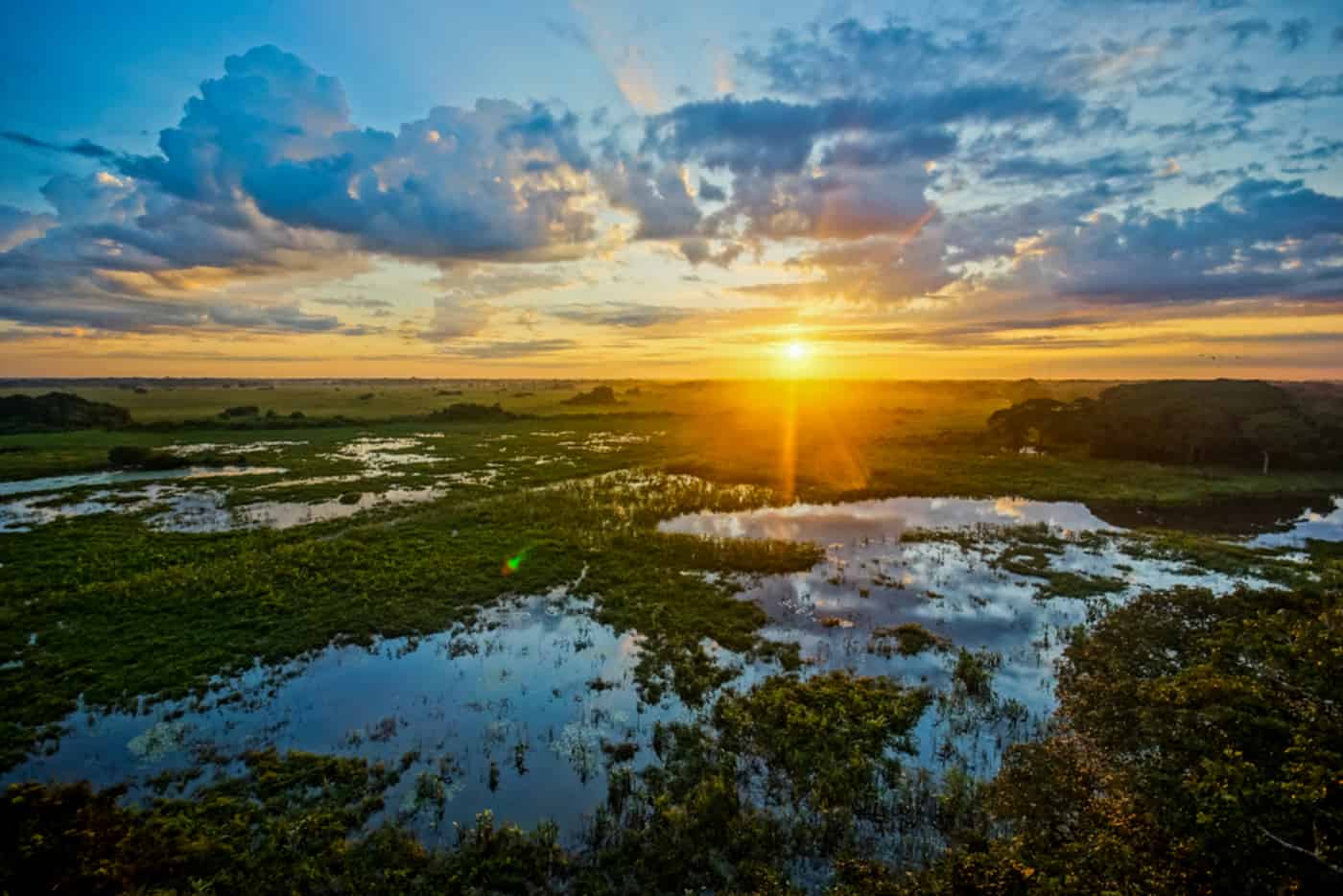 Pantanal-1