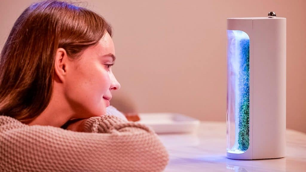 Mulher olhando para terrário de musgo Moss Air