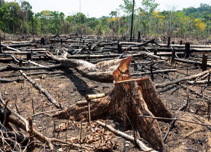 Amazônia desmatada