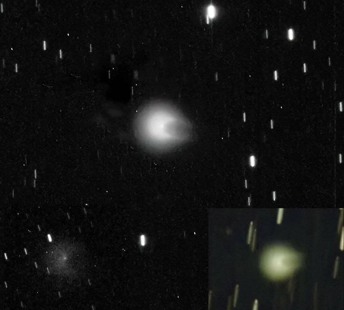 Cometa do Diabo (Crédito: Eliot Herman/ Reprodução X)
