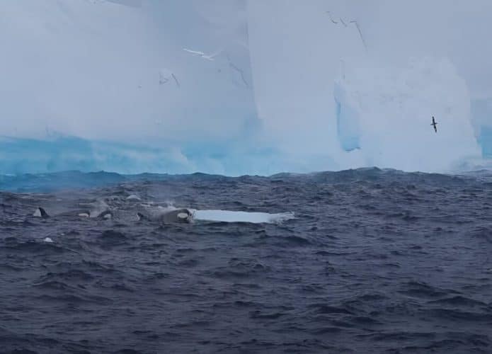 iceberg A23a