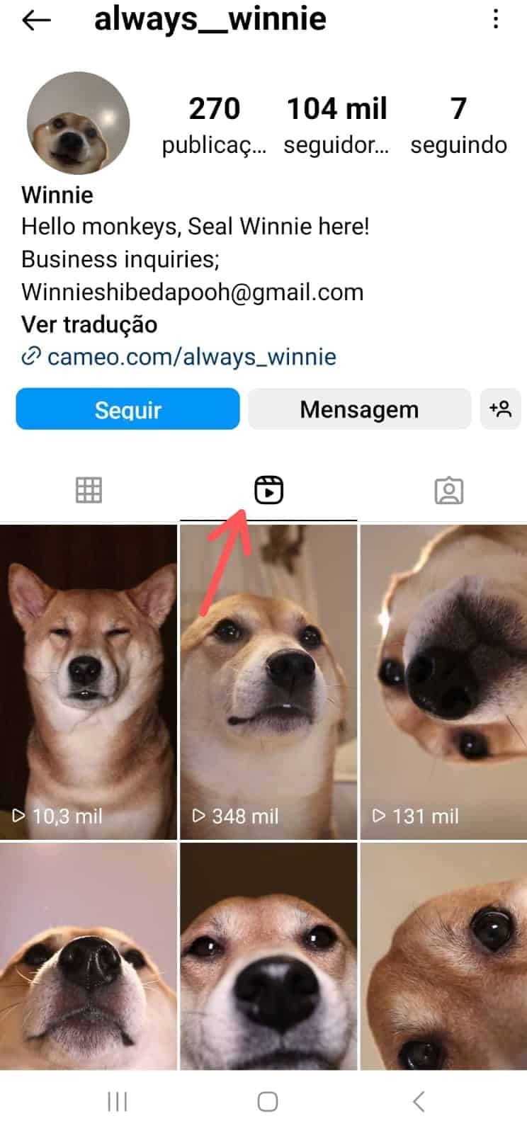 Reprodução de tela para reels nos stories do Instagram