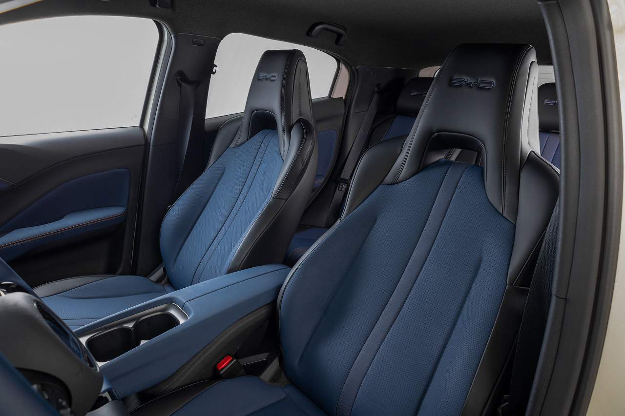 byd dolphin mini