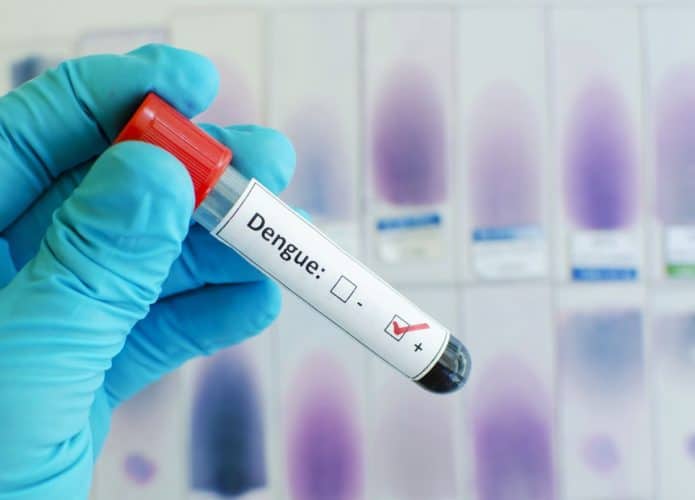 Amostra de sangue coletada para teste de dengue