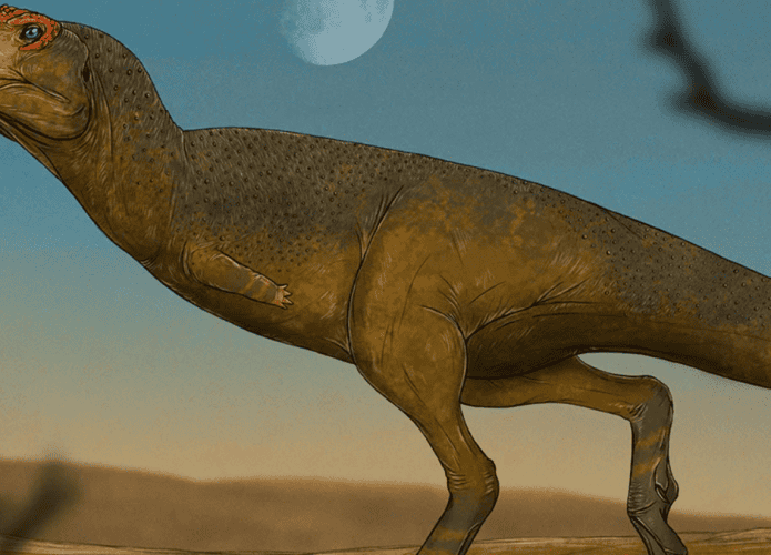 dino-695x500.png
