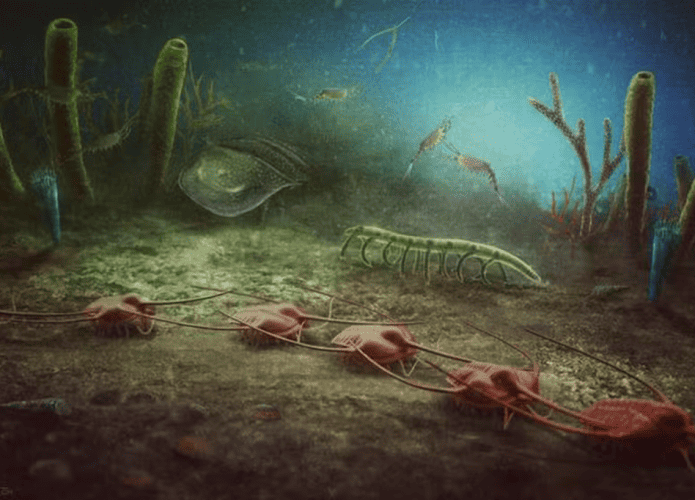 ecossistema-antigo-1-695x500.png