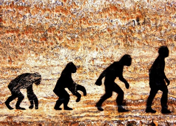 evolucao