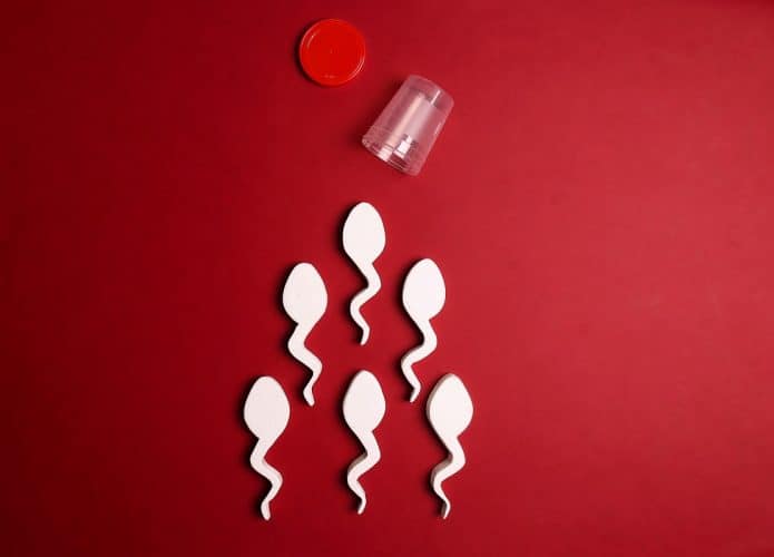 fertilidade_espermatozoides-695x500