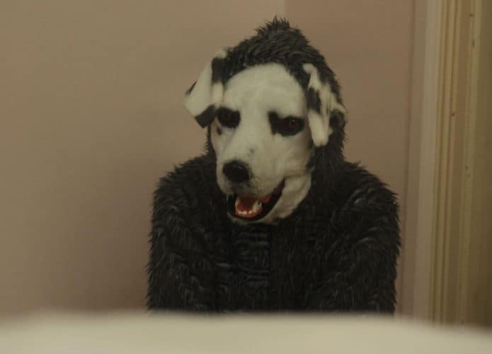 good-boy--695x500