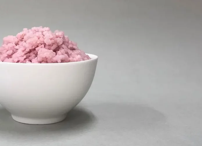 Híbrido de arroz e carne bovina (Crédito: © Universidade Yonsei)