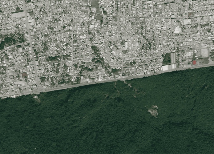 manaus-floresta-amazonica-695x500.png