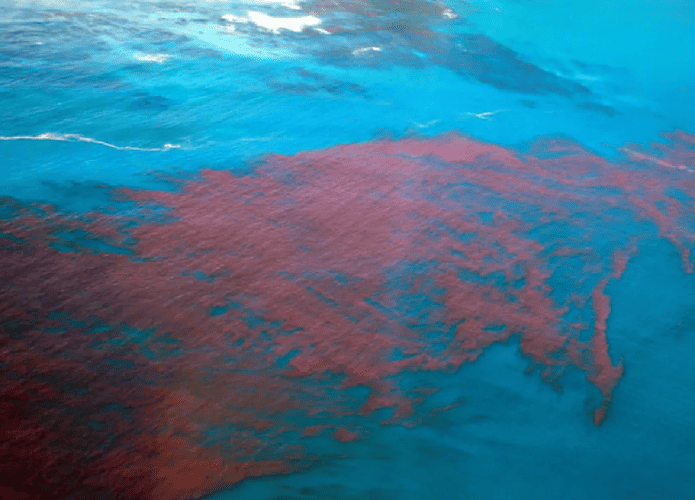mare-vermelha-695x500.png