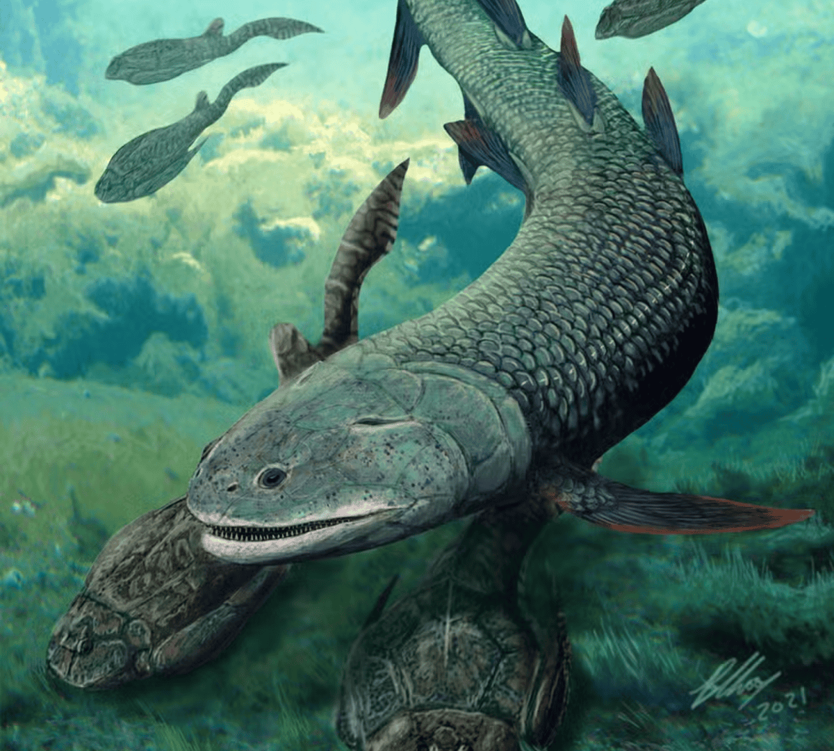 peixe-antigo-1-1-1200x1080.png