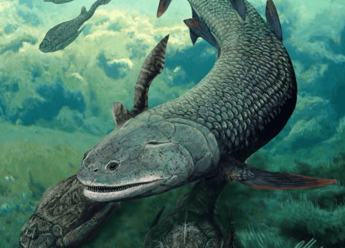 peixe-antigo-1-1-695x500.png