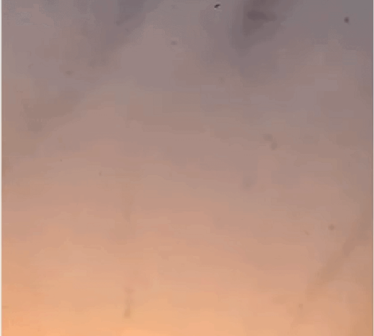 tornado_mosquitos-1200x1080.png