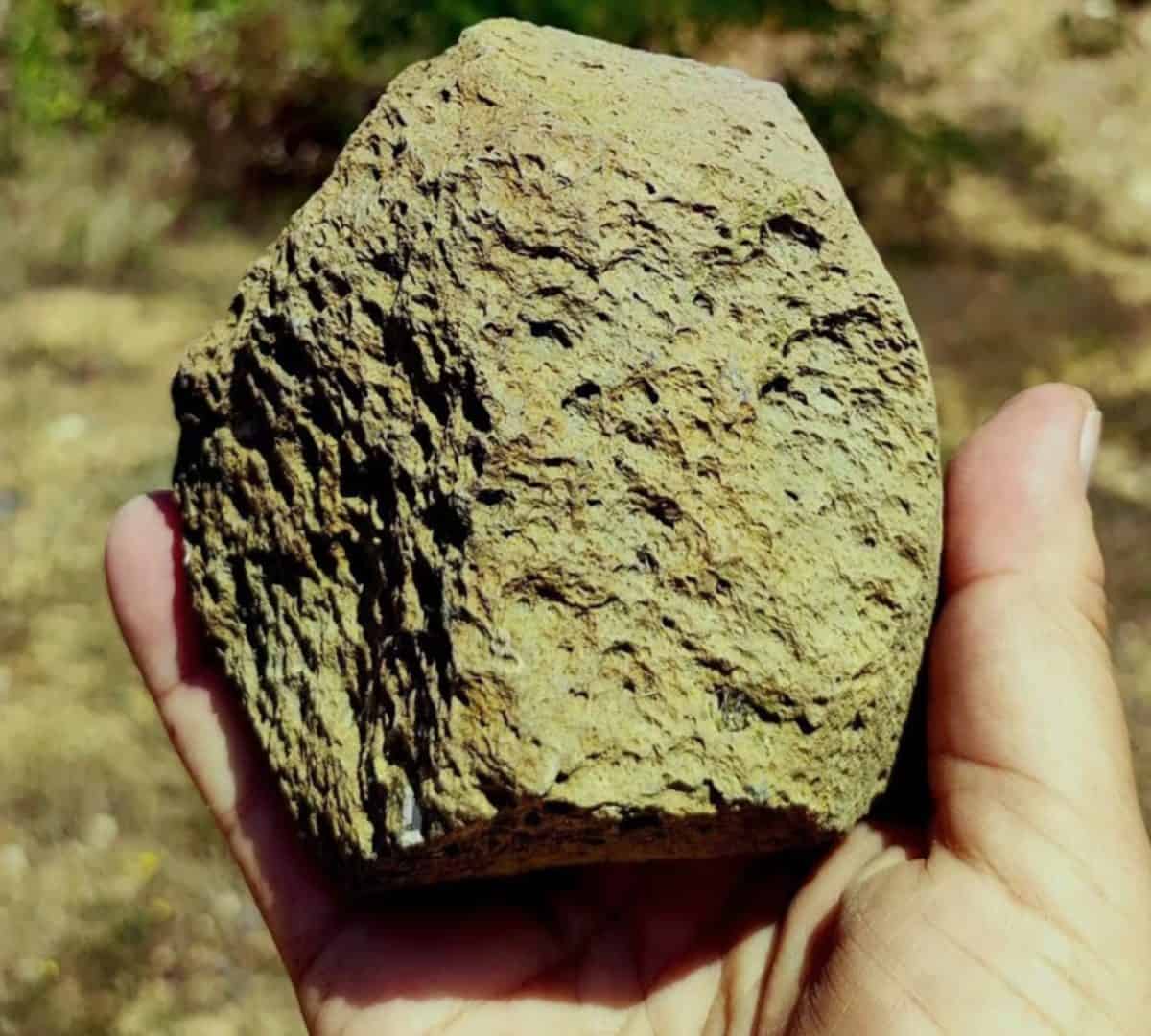 PEDRA-1-1200x1080