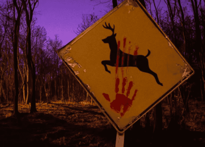 bambi-terror_resized-695x500.png