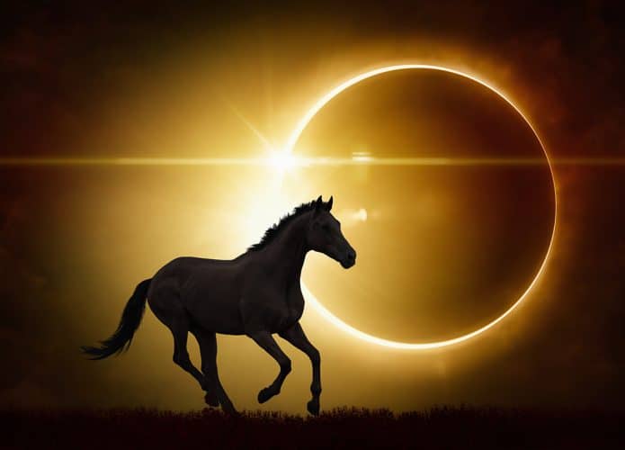 comportamento-animal-eclipse-695x500