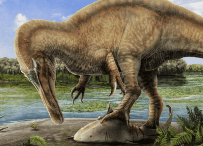 dinossauro-2-695x500.png