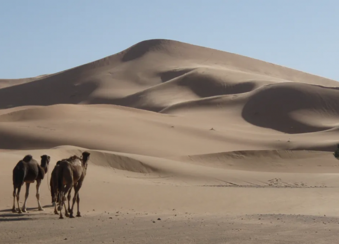 duna-de-areia-1-695x500.png