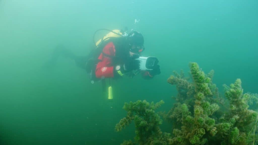 Homem usando iPhone durante mergulho nas profundezas do oceano