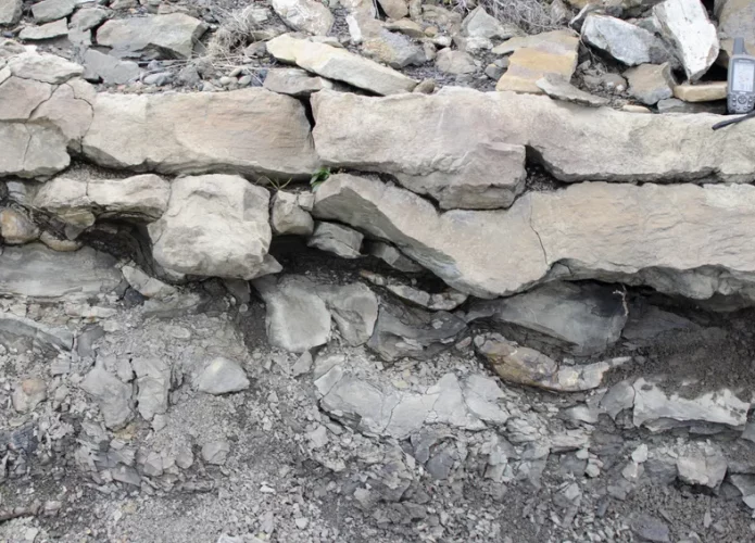 Os pesquisadores interpretam essas ondulações na pedra no corte transversal como pegadas de dinossauros (Crédito: Fiorillo et al., Geosciences 2024.