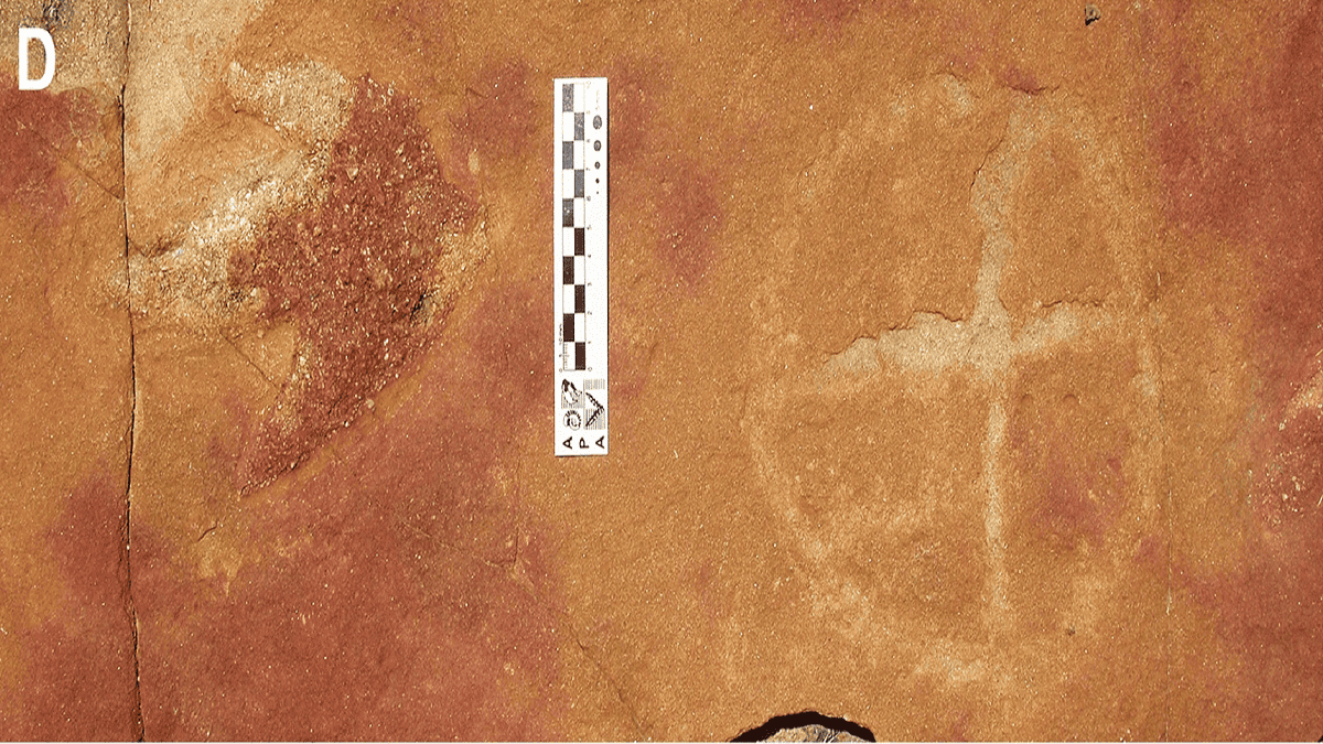 Pinturas rupestres e pegadas de dinossauros de 145 milhões de anos são encontradas no Brasil
