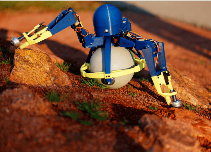 robo-tripe-2-695x500.png