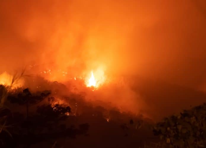 Incêndios na Amazônia podem passar a acontecer com maior frequência (Crédito: MemoryMan/ shutterstock)