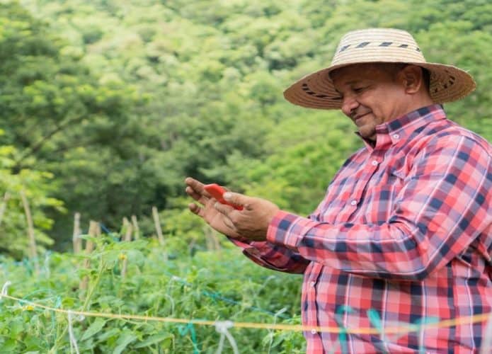 homem no meio rural mexendo em celular