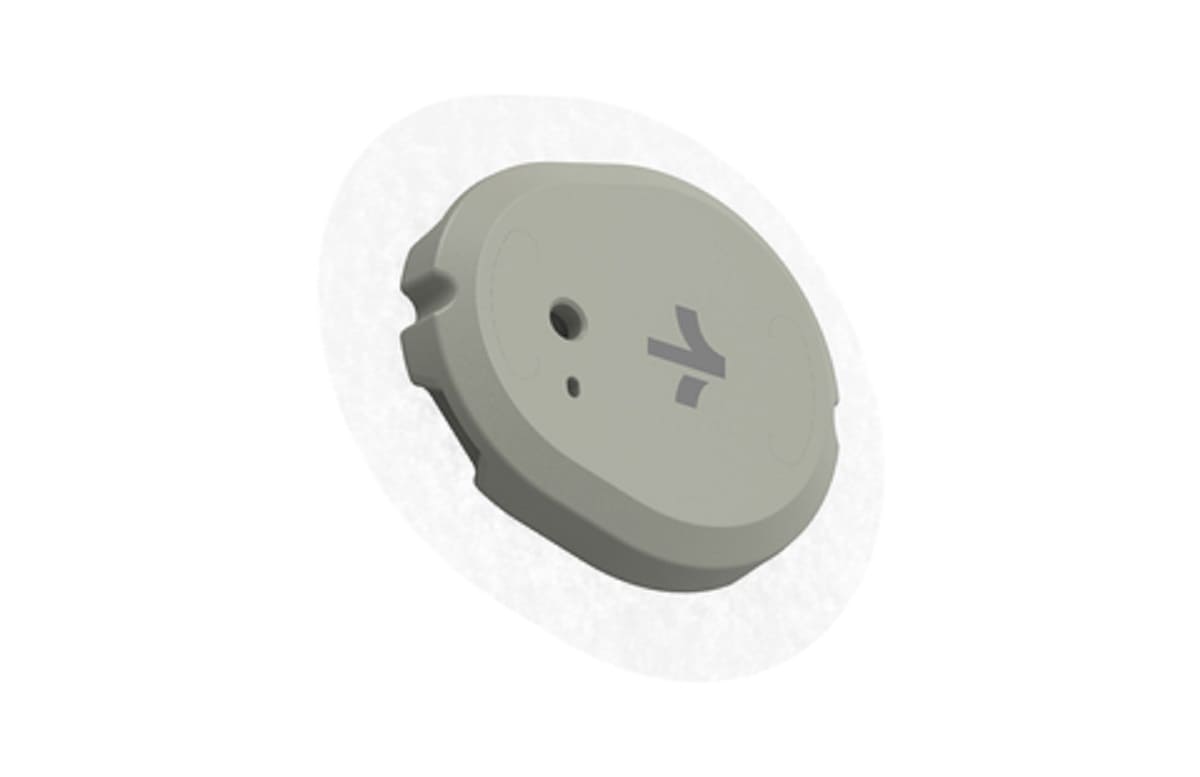 stelo_1